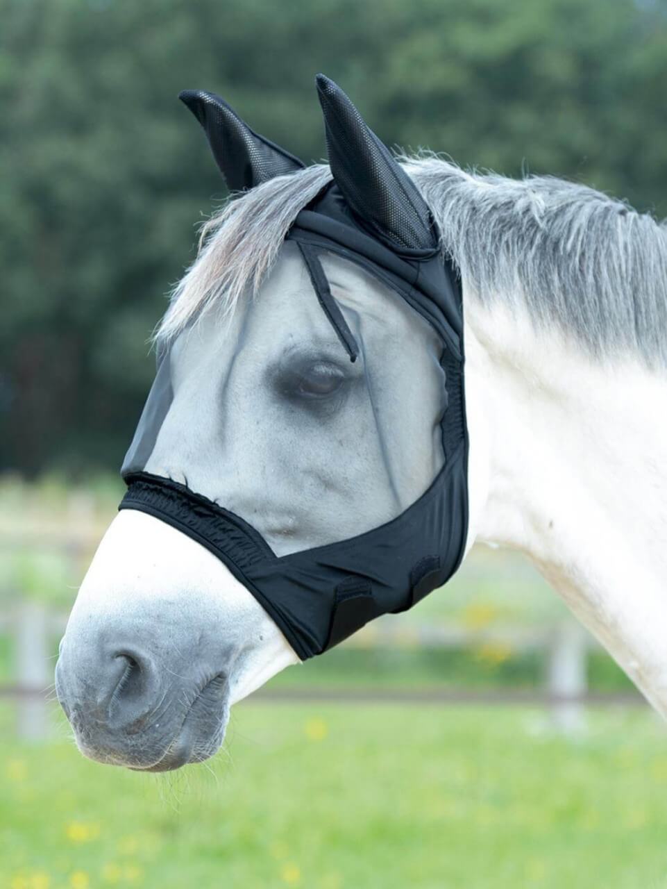 BUSSE Fliegenmaske Fly Buckler Gap II Insektenschutz BUSSE Fliegenmaske Fly Buckler Gap II Insektenschutz