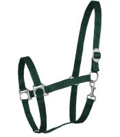 Tannengrün Tannengrün