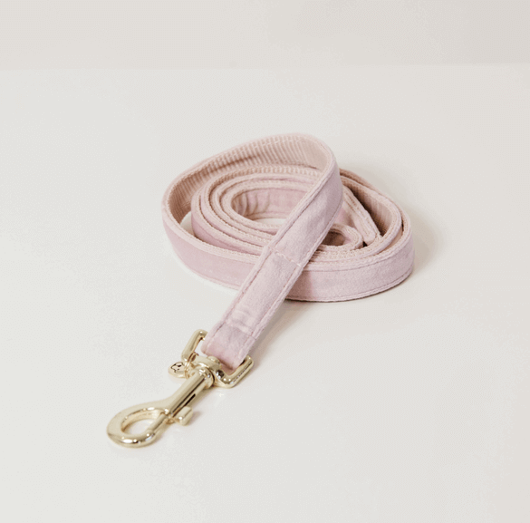 Kentucky Dogwear Hundeleine Velvet 120 cm Size L Kentucky Dogwear Hundeleine Velvet 120 cm Size L