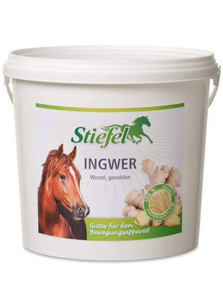Ingwer Zusatzfutter Ergänzungsfuttermittel Ingwer Zusatzfutter Ergänzungsfuttermittel