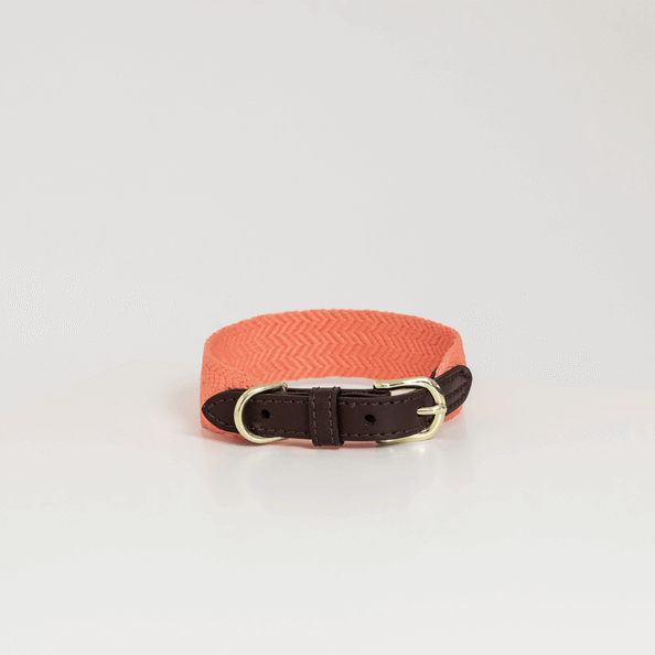 Kentucky Dogwear Hundehalsband Jacquard Kentucky Dogwear Hundehalsband Jacquard