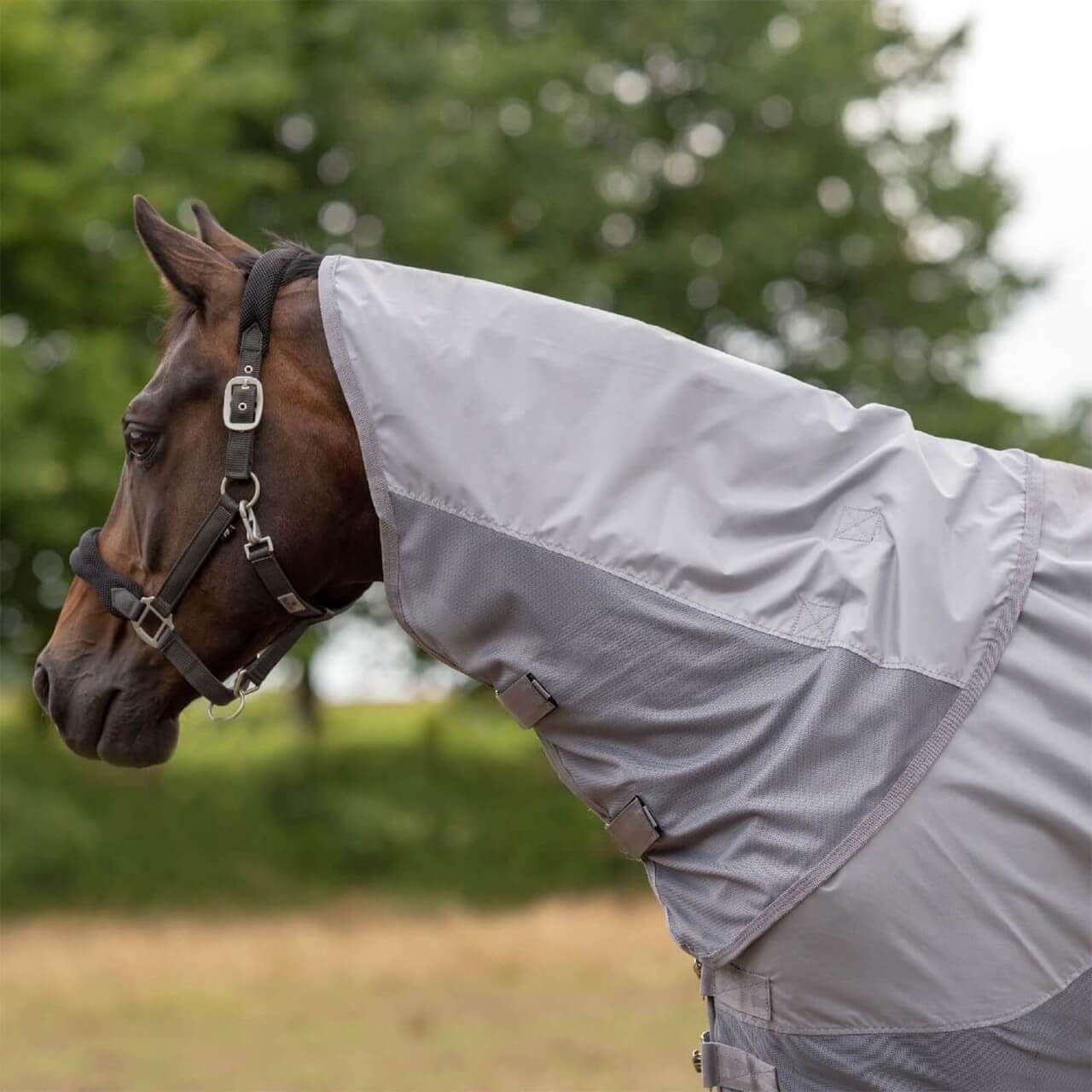 BUSSE Halsteil Rainfly mit Klettverschluss BUSSE Halsteil Rainfly mit Klettverschluss