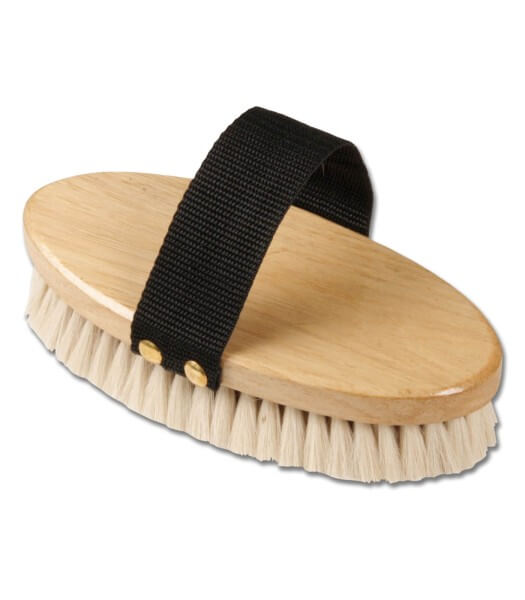 Kardätsche Schmuse- und Glanzbürste Striegel Kardätsche Schmuse- und Glanzbürste Striegel