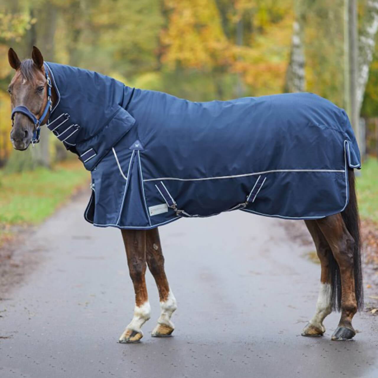 Waldhausen Outdoordecke 200g Comfort Full-Neck Weidedecke Waldhausen Outdoordecke 200g Comfort Full-Neck Weidedecke