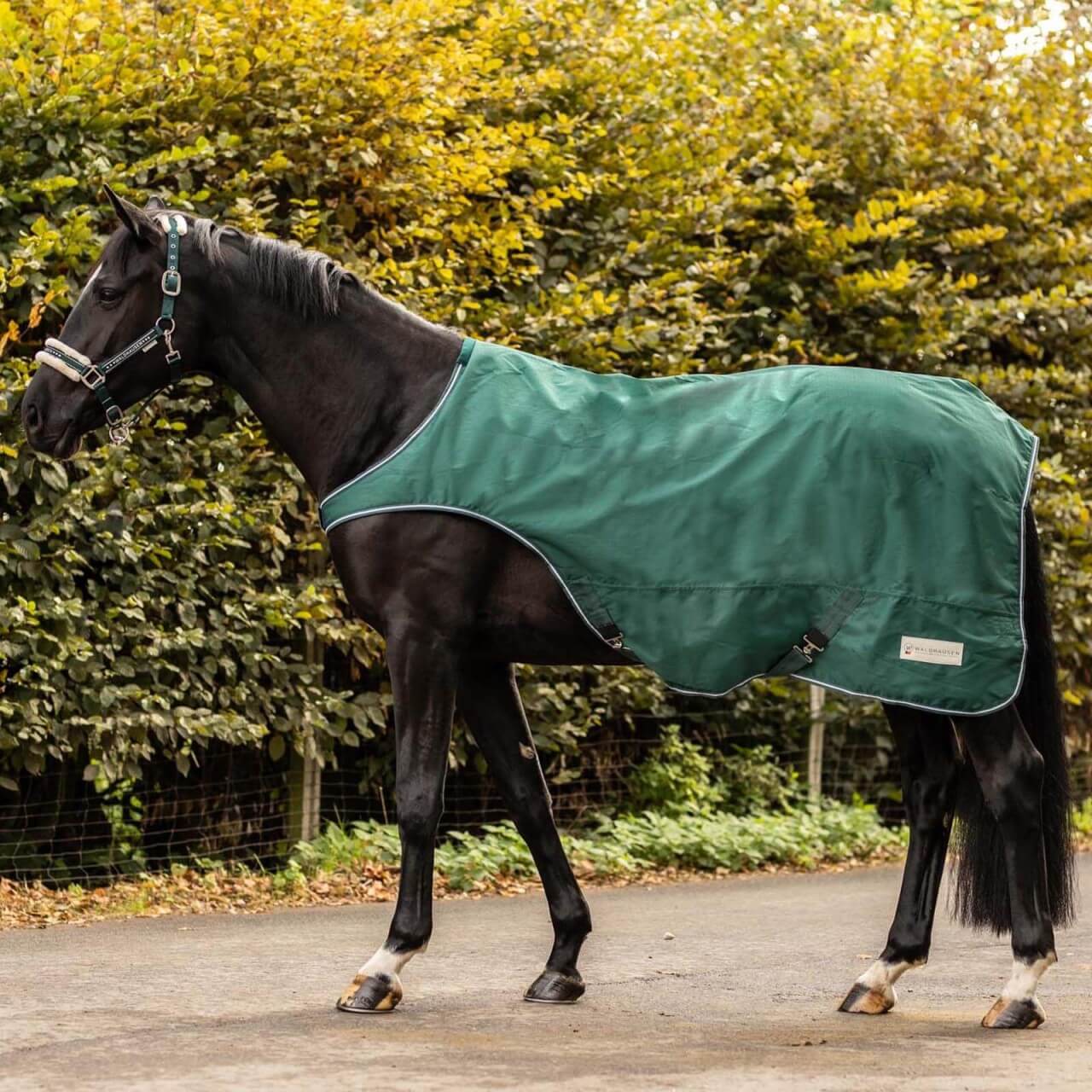 Waldhausen Führmaschinendecke 100g Comfort Waldhausen Führmaschinendecke 100g Comfort