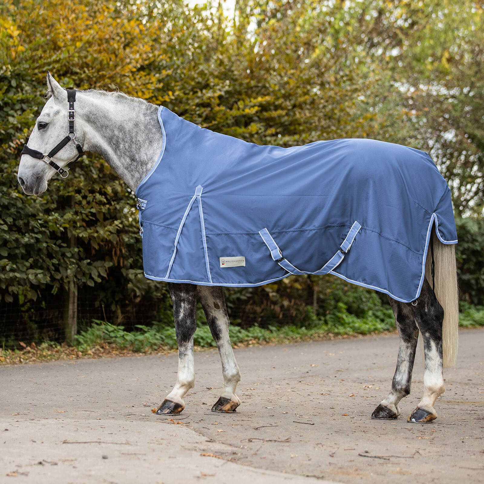 Waldhausen Outdoordecke 0g Economic High Neck Light Regendecke himmelblau 145 cm | kavalio - für mich und mein Pferd