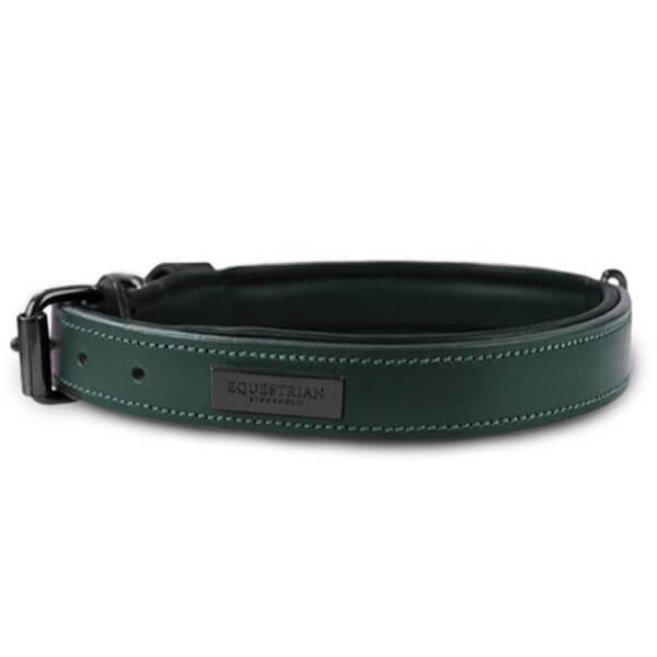 Hundehalsband Sycamore Green Lederhalsband Hundehalsband Sycamore Green Lederhalsband