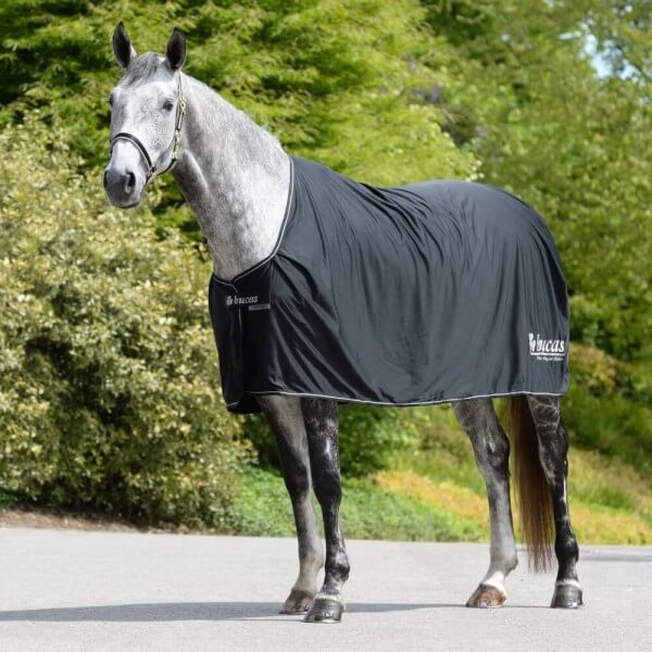 Abschwitzdecke Prize Cooler Abschwitzdecke Prize Cooler