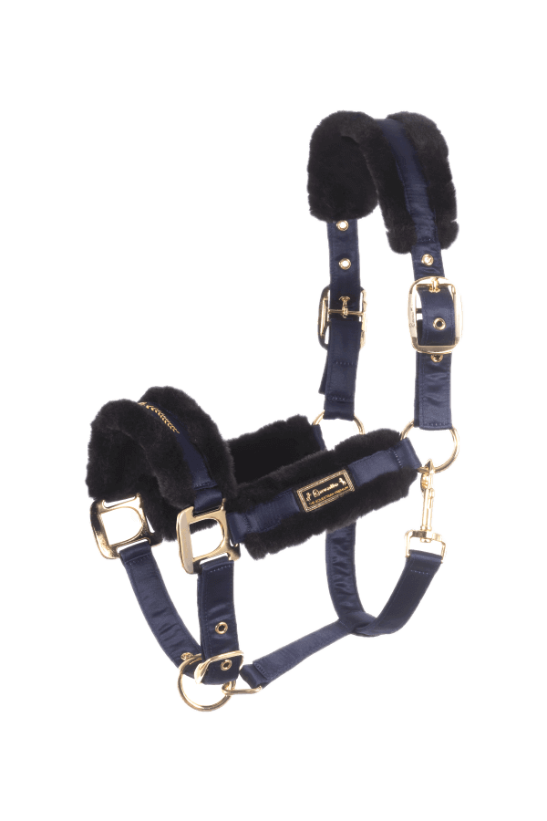 Cavallo Halfter Kunstfell CAVALLYLOU HW 2024 Pferdehalfter Cavallo Halfter Kunstfell CAVALLYLOU HW 2024 Pferdehalfter