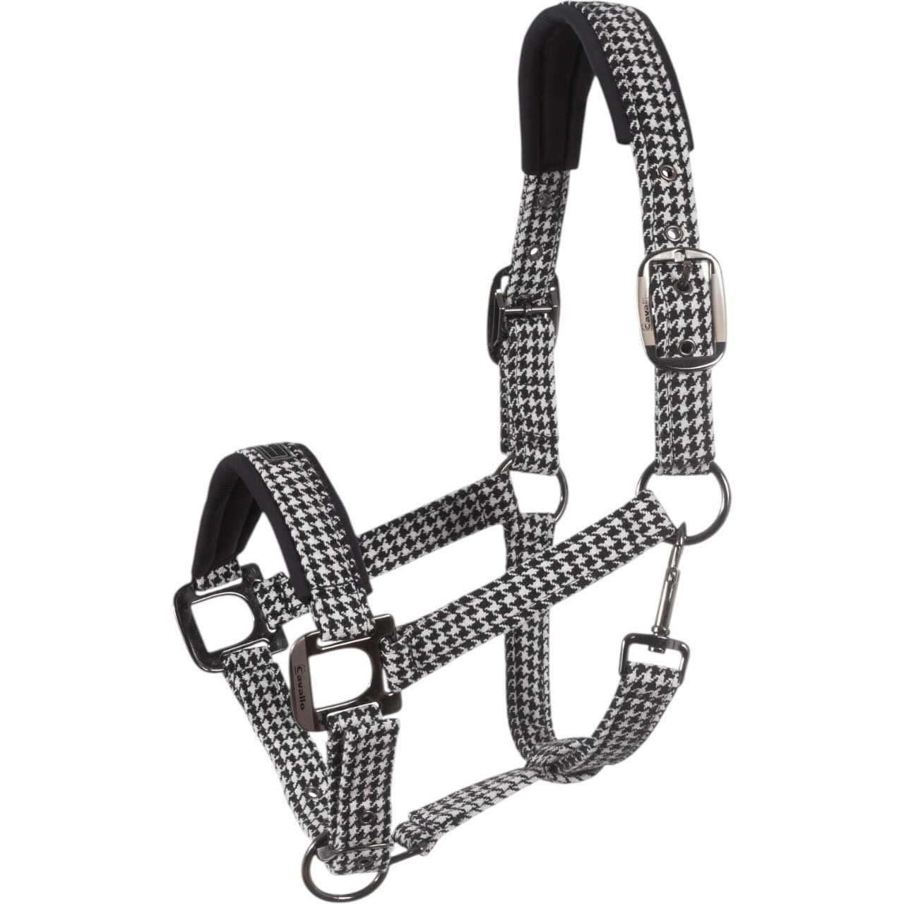 Cavallo Halfter CAVALPEPPY HW 2025 Nylonhalfter Cavallo Halfter CAVALPEPPY HW 2025 Nylonhalfter