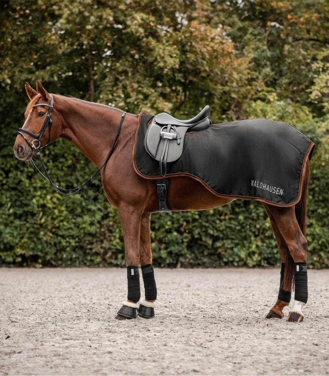 Waldhausen Regen-Ausreitdecke 50g Perth Waldhausen Regen-Ausreitdecke 50g Perth