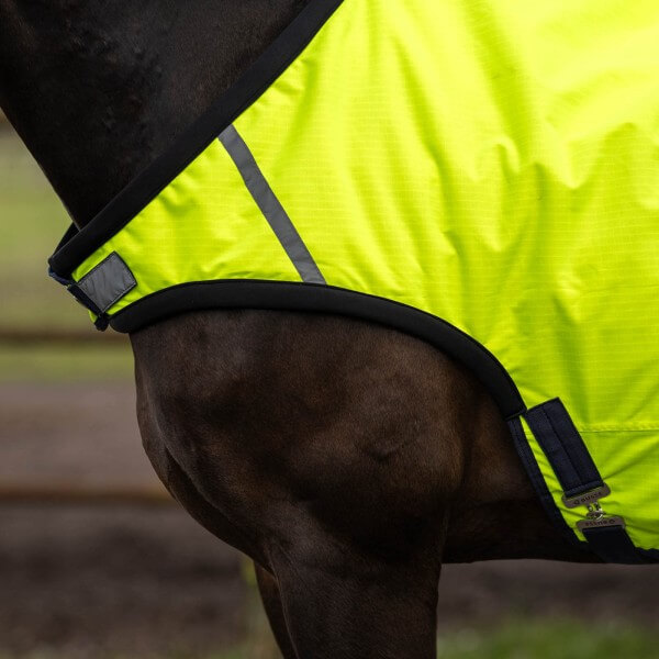 Führanlagendecke Shine 50 Bewegungsdecke