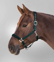 Tannengrün Tannengrün