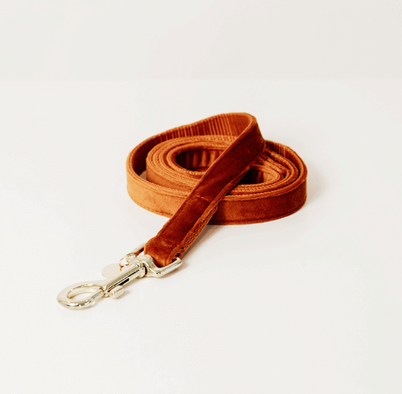 Kentucky Dogwear Hundeleine Velvet 120 cm Size L Kentucky Dogwear Hundeleine Velvet 120 cm Size L