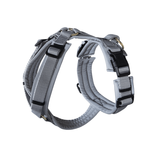 Kentucky Dogwear Hundegeschirr Aktiv Reflektierend Kentucky Dogwear Hundegeschirr Aktiv Reflektierend