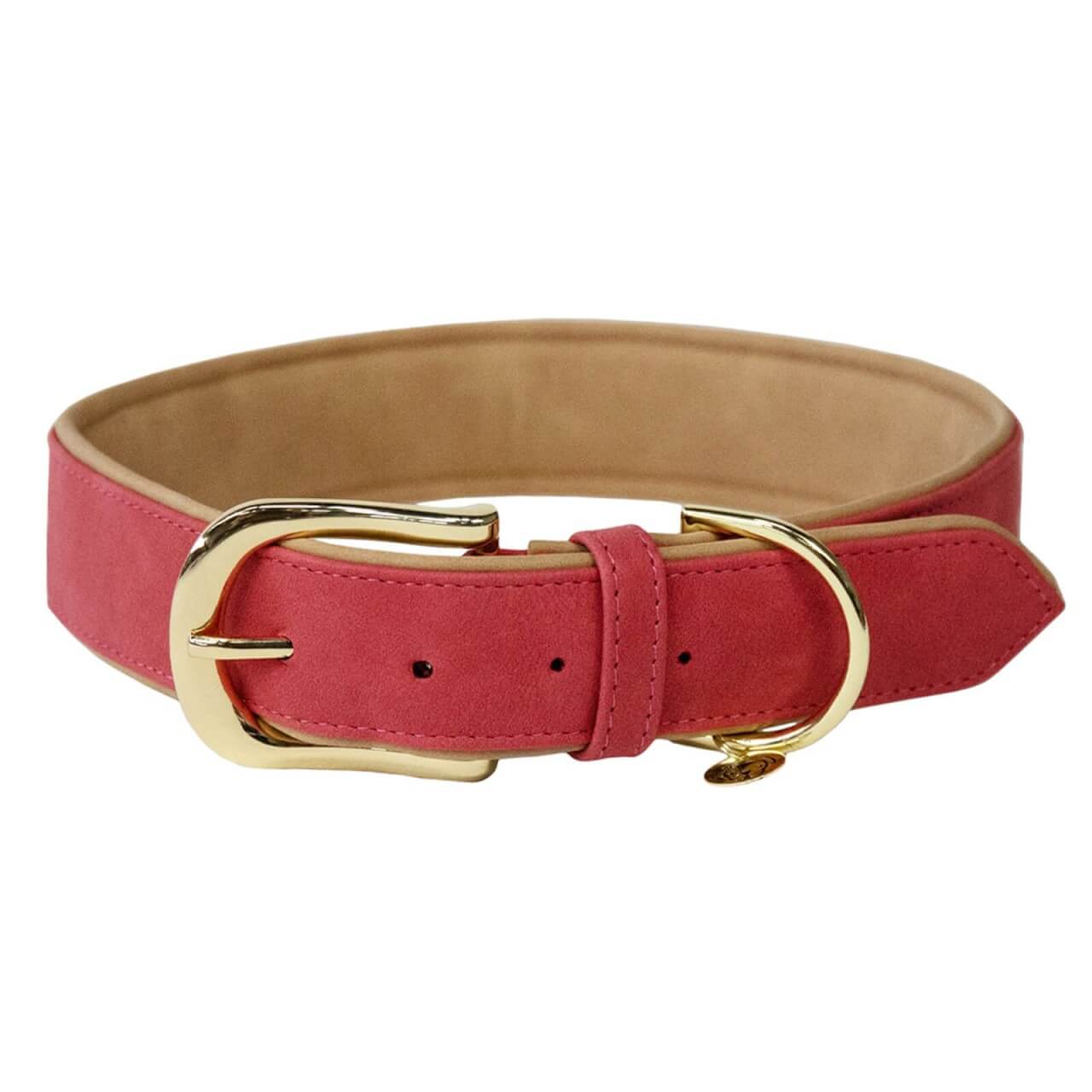 Kentucky Dogwear Hundehalsband Vegan Leder Kentucky Dogwear Hundehalsband Vegan Leder