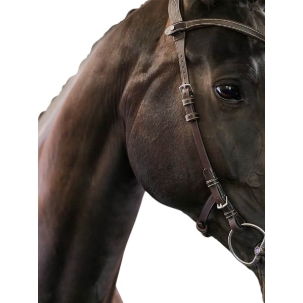 Trense Helsinki Trensenzaum