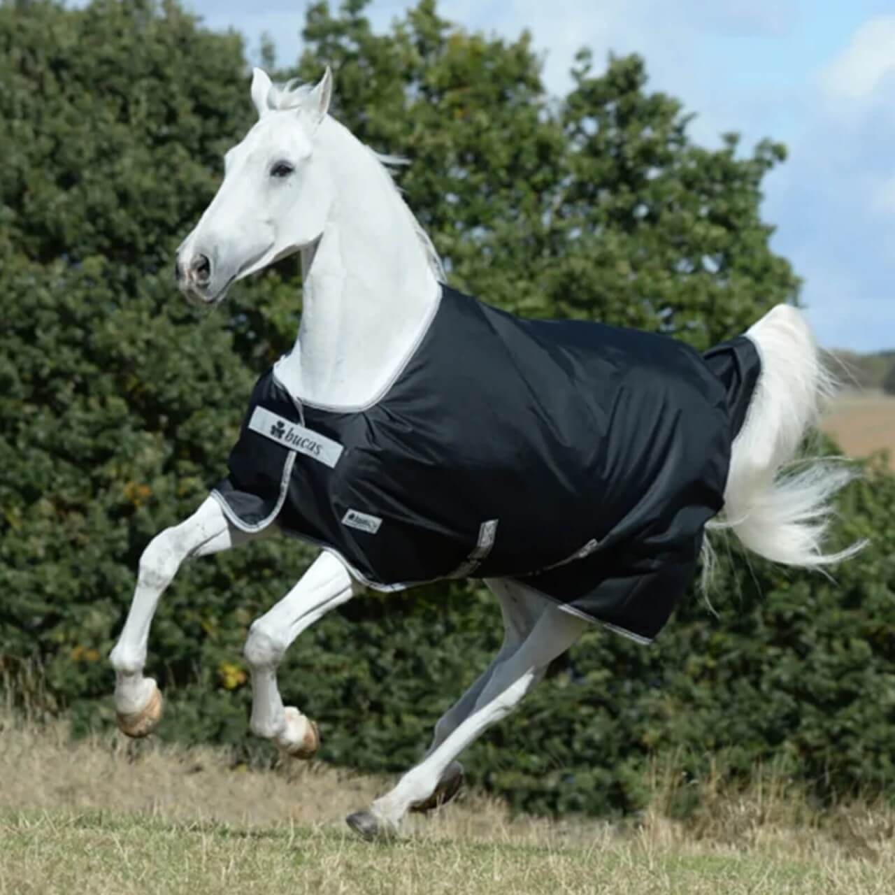 Bucas Regendecke 0g Anniversary Turnout Light Regendecke Bucas Regendecke 0g Anniversary Turnout Light Regendecke