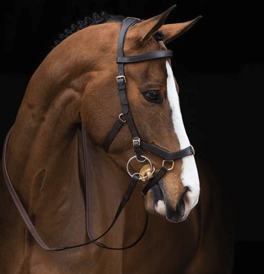 Horseware Ireland Zaum Micklem Rambo Multibridle Trense Horseware Ireland Zaum Micklem Rambo Multibridle Trense