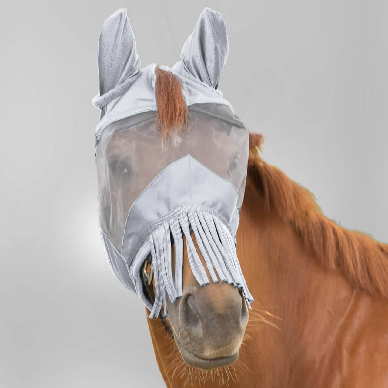 Waldhausen Fliegenmaske Premium mit Ohrenschutz und Nasenfransen Fliegenschutz Waldhausen Fliegenmaske Premium mit Ohrenschutz und Nasenfransen Fliegenschutz