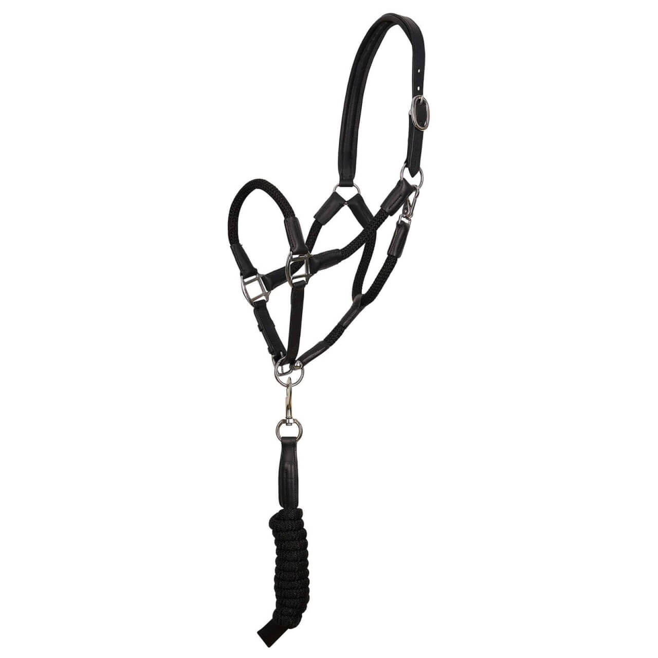 HV Polo Halfter HVPFranka HW 2023 HV Polo Halfter HVPFranka HW 2023