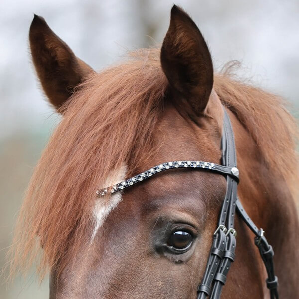 Stirnband Hopscotch Stirnriemen Stirnband Hopscotch Stirnriemen