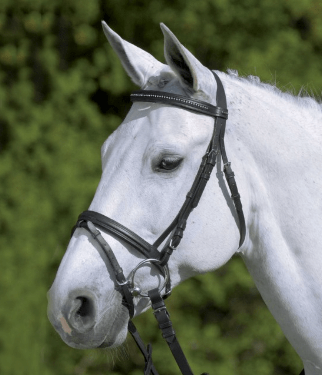 Waldhausen Trensenzaum Star Diamond Schwarz VB | kavalio - für mich und mein Pferd