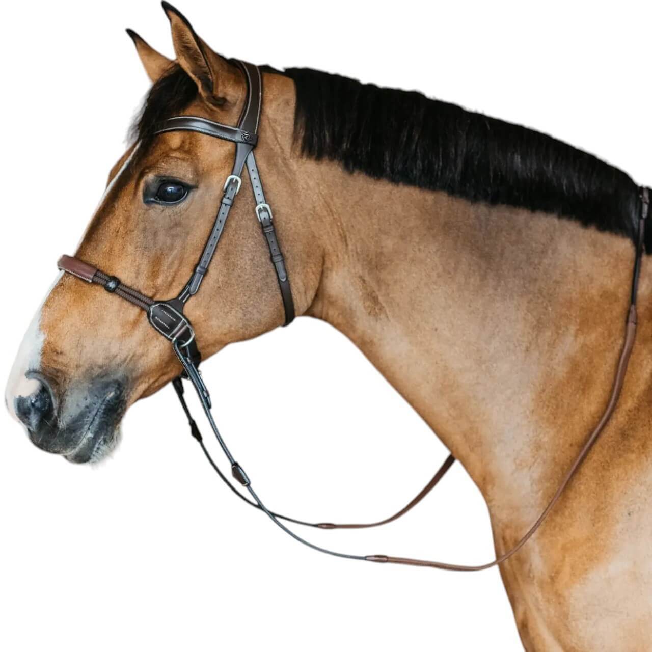 Dy´on Gebisslose Trense Bitless Bridle Dy´on Gebisslose Trense Bitless Bridle