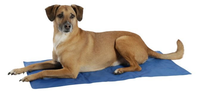 KERBL Kühlmatte Cool-Relax KERBL Kühlmatte Cool-Relax