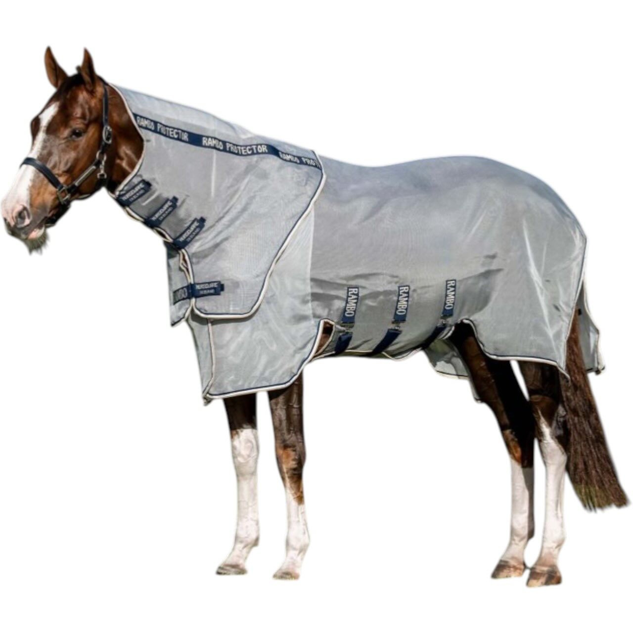 Horseware Ireland Fliegendecke Rambo Protector Fieldsafe Plus Fliegenschutz Horseware Ireland Fliegendecke Rambo Protector Fieldsafe Plus Fliegenschutz