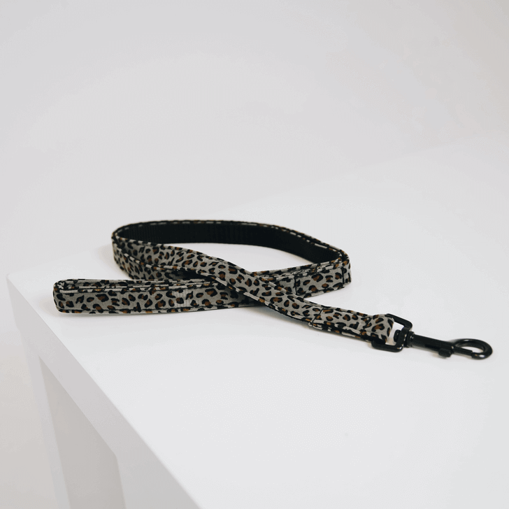 Kentucky Dogwear Hundeleine Leopard Kentucky Dogwear Hundeleine Leopard