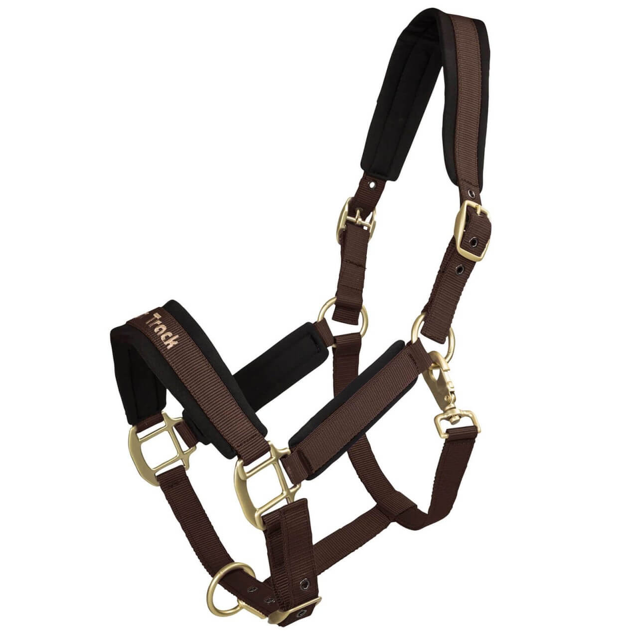 Back on Track Halfter Werano Back on Track Halfter Werano