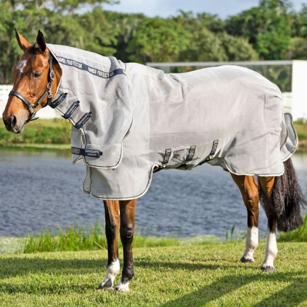 Horseware Ireland Fliegendecke Rambo Protector Integrated Fliegenschutz Horseware Ireland Fliegendecke Rambo Protector Integrated Fliegenschutz