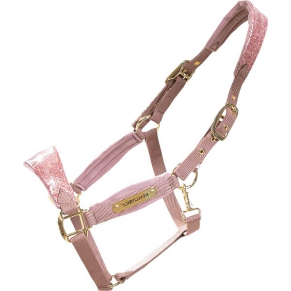 Halfter Velvet Unicorn Glitter Nylonhalfter Halfter Velvet Unicorn Glitter Nylonhalfter