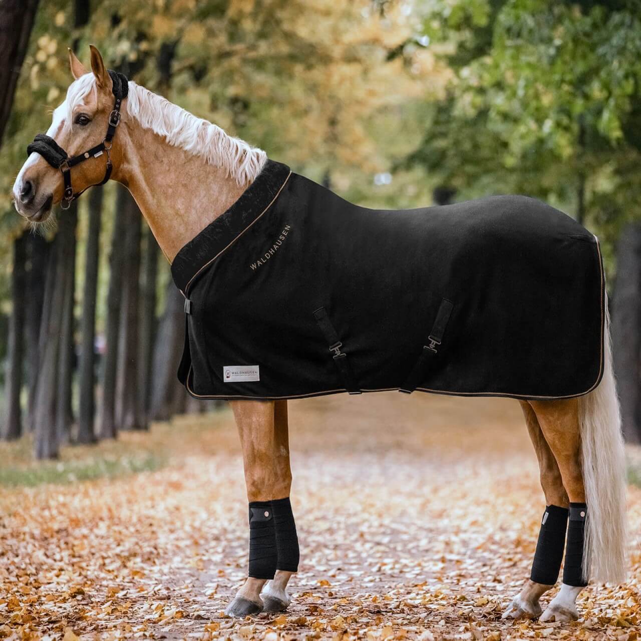 Waldhausen Abschwitzdecke Modern Rosé Waldhausen Abschwitzdecke Modern Rosé