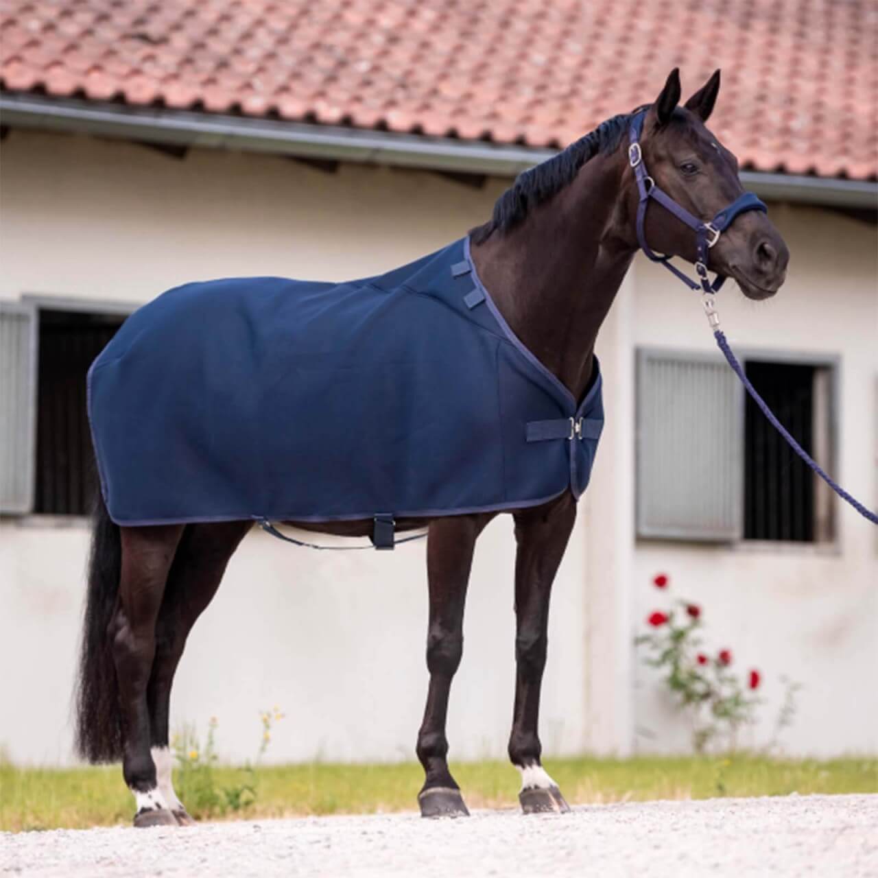 BUSSE Unterdecke 0g 3D Air Pro Liner BUSSE Unterdecke 0g 3D Air Pro Liner