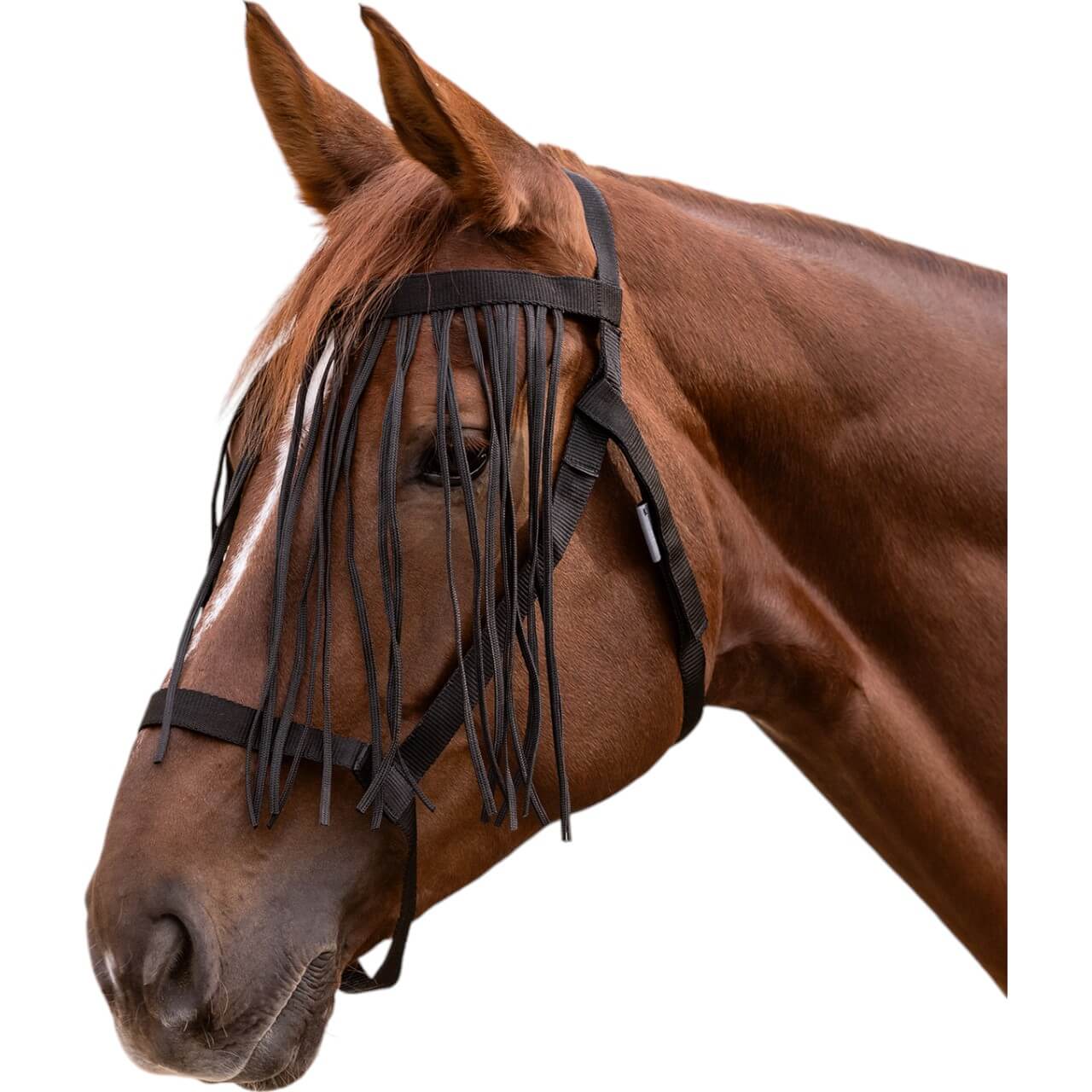 Waldhausen Weidehalfter mit Fliegenfransen Halfter Schwarz PON | kavalio - für mich und mein Pferd