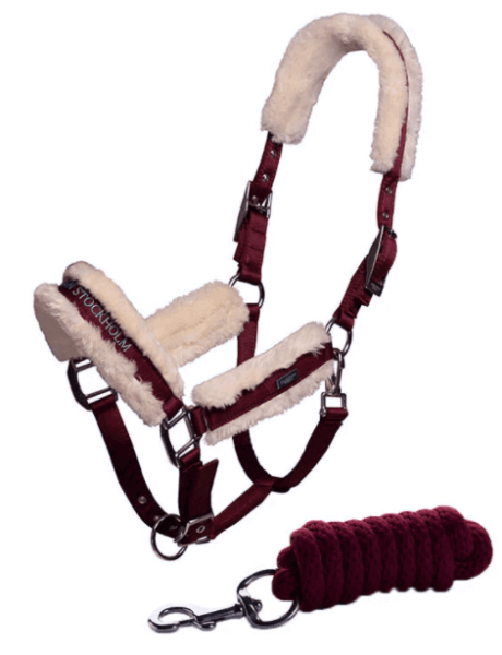 Halfter + Führstrick Bordeaux Stallhalfter Halfter + Führstrick Bordeaux Stallhalfter