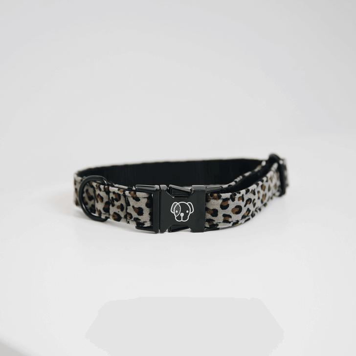 Kentucky Dogwear Halsband Leopard Hundehalsband Kentucky Dogwear Halsband Leopard Hundehalsband