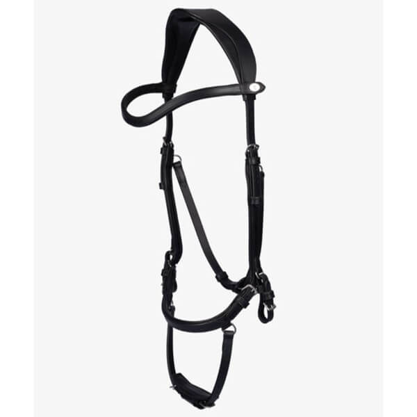 Trense King Edward Trense King Edward