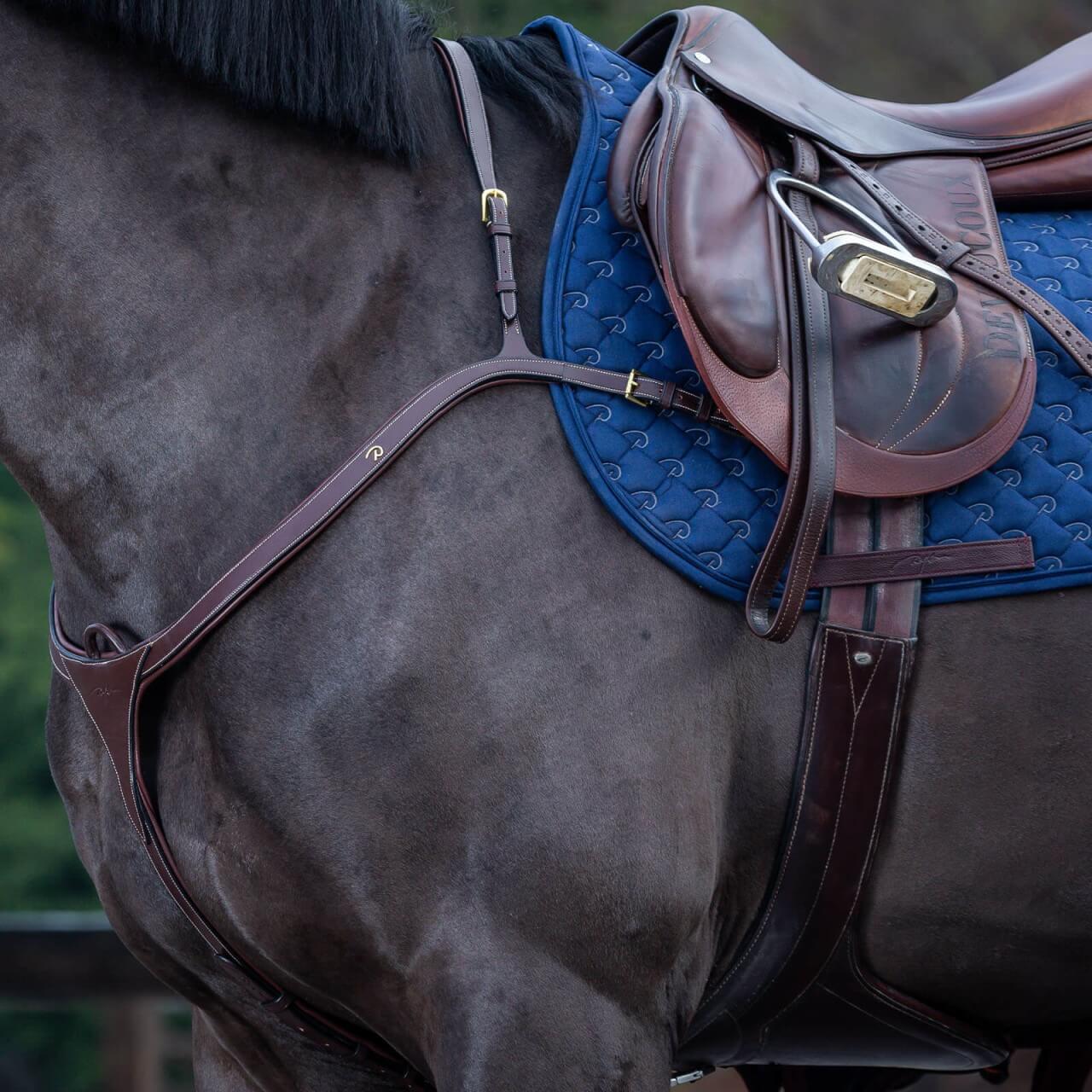 Dy´on Vorderzeug mit langer Brücke D Collection Hilfszügel Dy´on Vorderzeug mit langer Brücke D Collection Hilfszügel