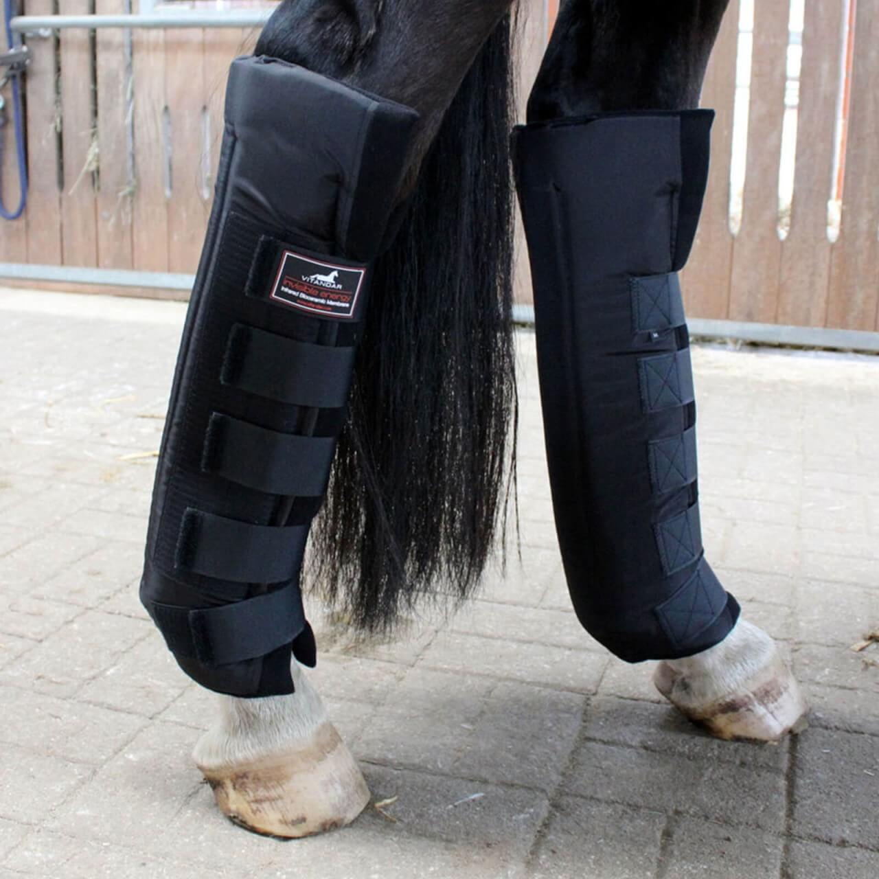 Vitandar Stallgamaschen XL Hinterbeingamaschen Vitandar Stallgamaschen XL Hinterbeingamaschen