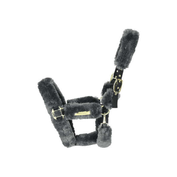 Kentucky Horsewear Transporthalfter Lammfell Nylonhalfter Lammfellhalfter Kentucky Horsewear Transporthalfter Lammfell Nylonhalfter Lammfellhalfter