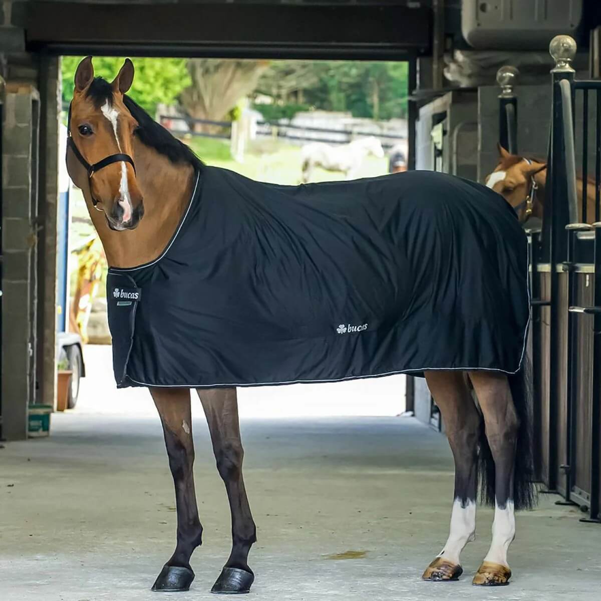 Bucas Multifunktionsdecke Shamrock Power Bucas Multifunktionsdecke Shamrock Power