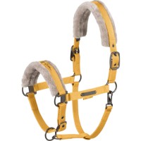 Golden Yellow Golden Yellow