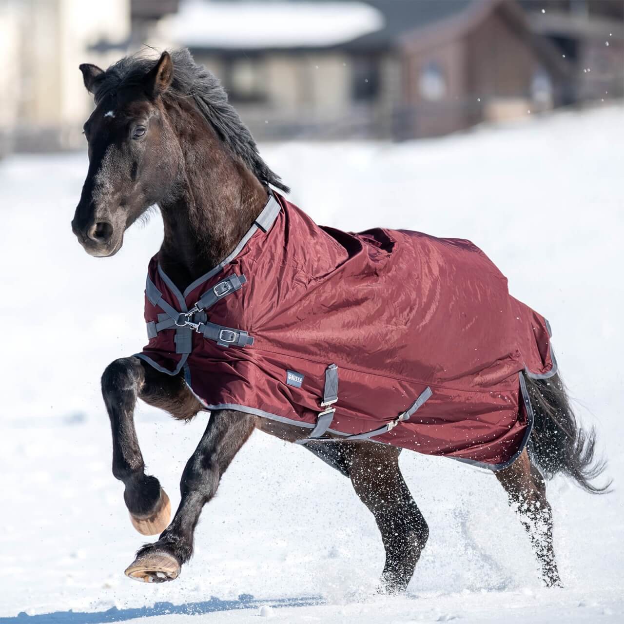 BUSSE Outdoordecke 100g Flexible Pro Weidedecke BUSSE Outdoordecke 100g Flexible Pro Weidedecke