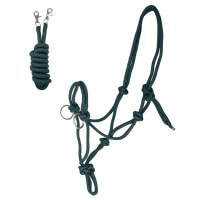 Tannengrün Tannengrün