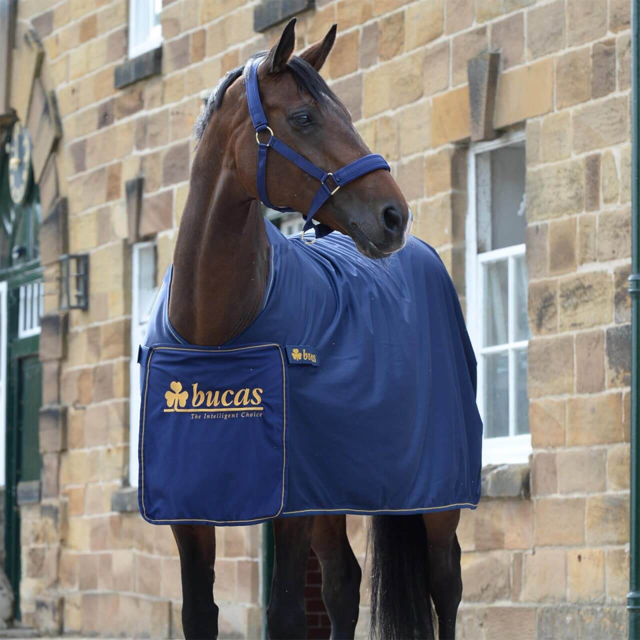 Bucas Abschwitzdecke Panel Prize Cooler Bucas Abschwitzdecke Panel Prize Cooler