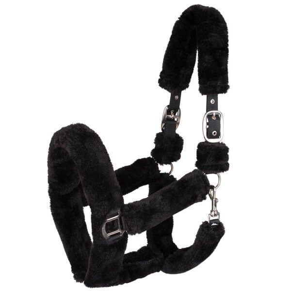 Halfter Cozy Halfter Cozy