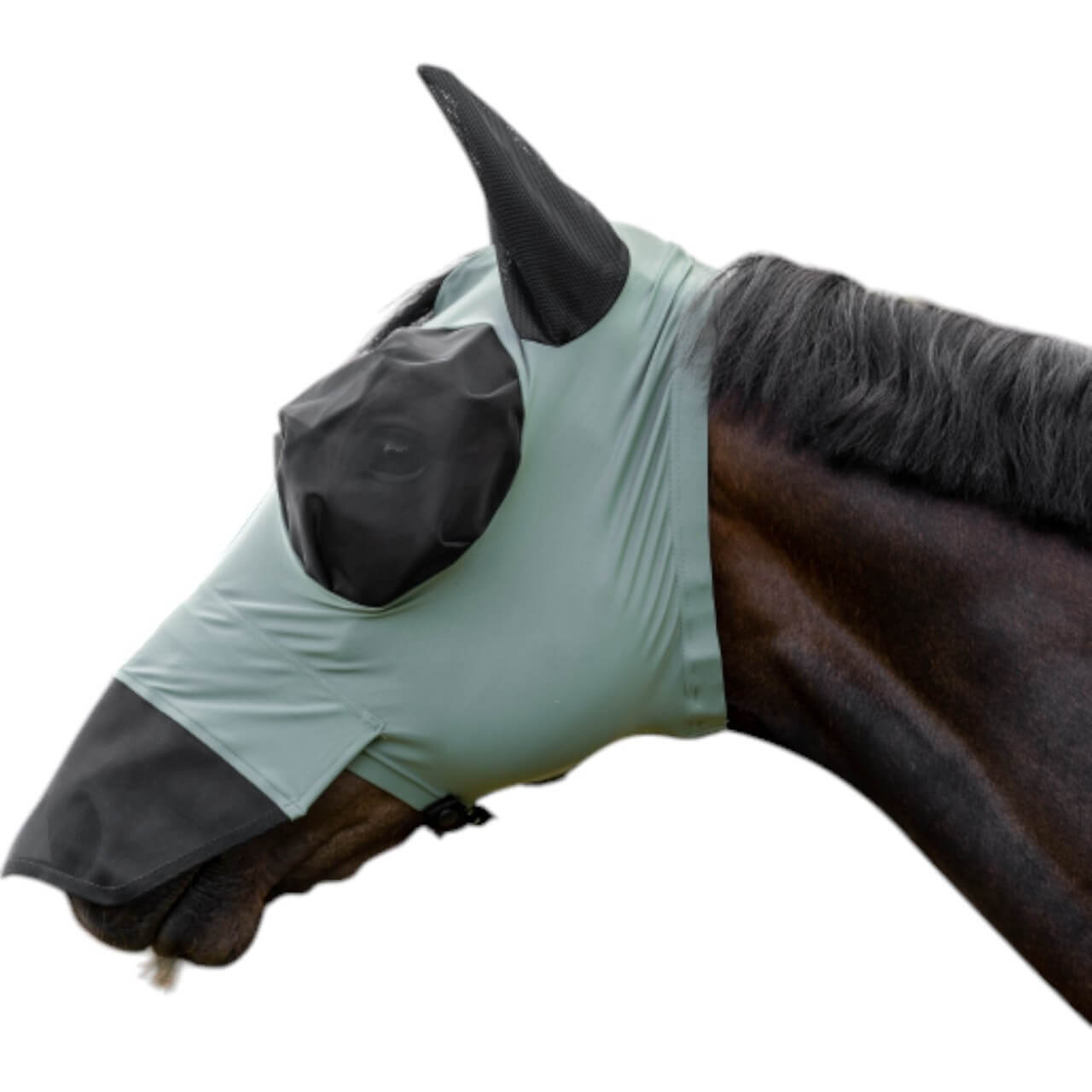 BUSSE Fliegenmaske Twin Fit Flexi Plus Fliegenschutz BUSSE Fliegenmaske Twin Fit Flexi Plus Fliegenschutz